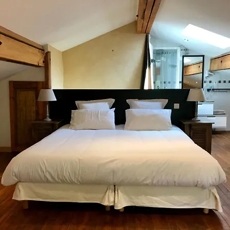 Pensjonat Domaine De La Sabliere