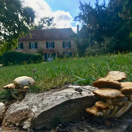 Pensjonat Domaine De La Sabliere